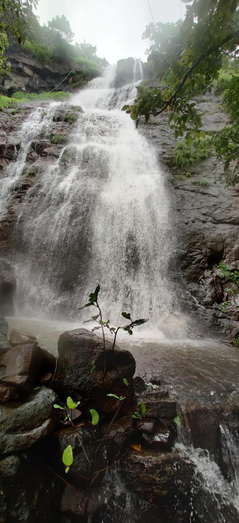 Forest Den Villa Pune Exterior photo